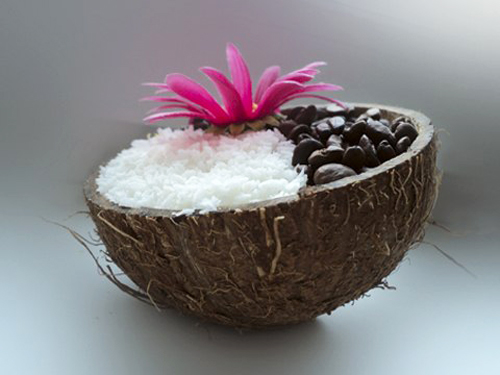 Что можно сделать из кокоса: 30 идей для творчества, фото № 7
