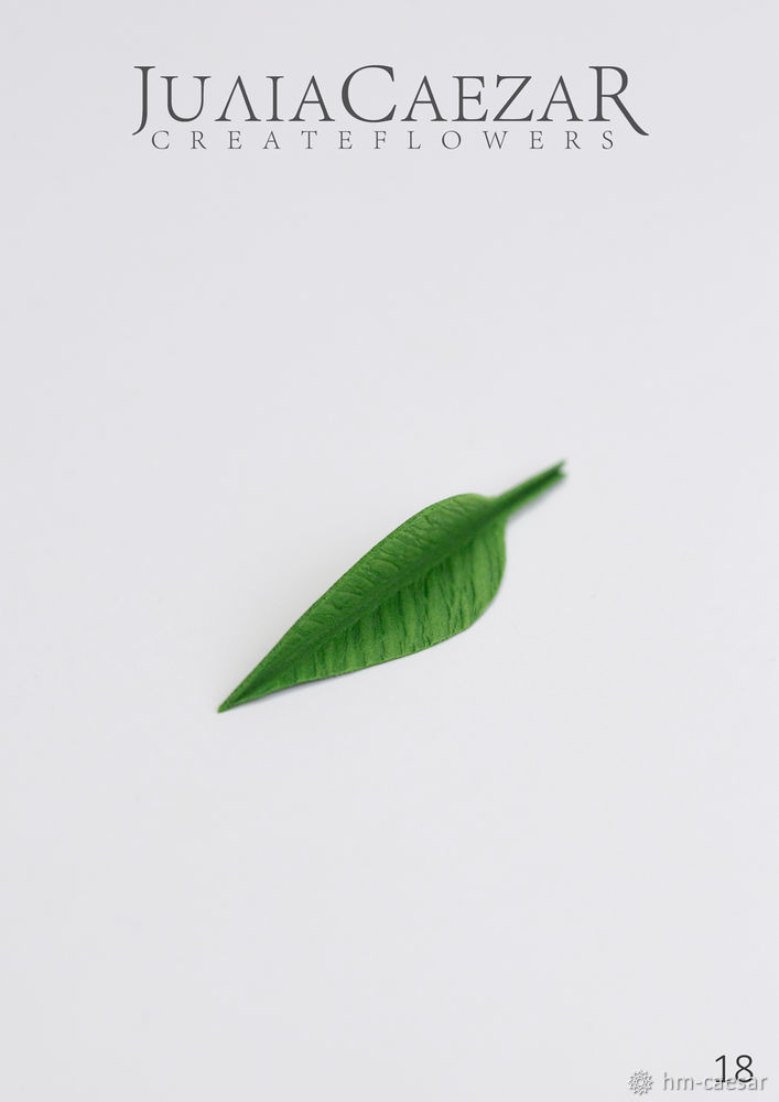 Мастер-класс «Декоративные листья из фоамирана», фото № 19
