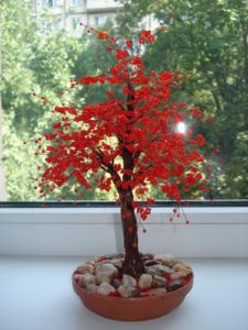 красное дерево
