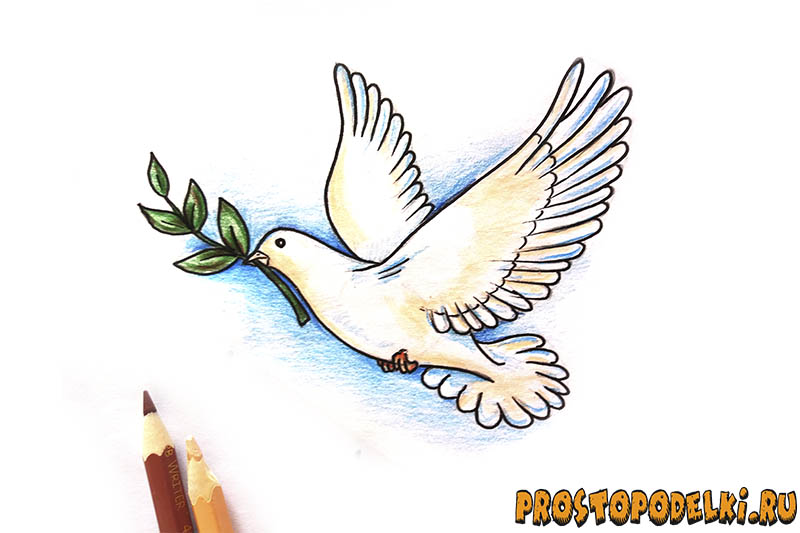 Нарисовать голубя мира-11