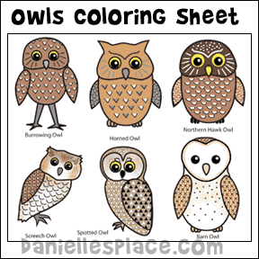 Types of Owl Coloring Sheet from www.daniellesplace.com