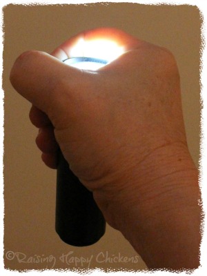 Hand-held candlers are efficient but hard to hold with an egg balanced on top!